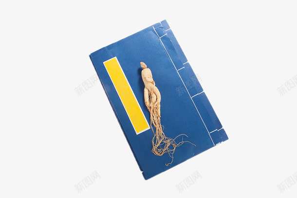 蓝色古籍上的高丽参png免抠素材_88icon https://88icon.com 书籍 养生 线装本 药材 蓝色 补品 高丽参 黄色