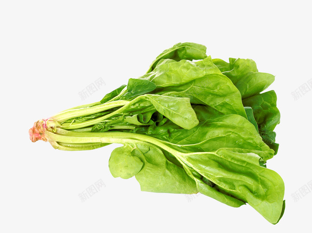 绿色蔬菜png免抠素材_88icon https://88icon.com 绿色 蔬菜 青菜叶子 食材