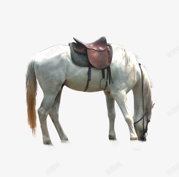 卡通手绘八骏图野马png免抠素材_88icon https://88icon.com 八骏图 卡通手绘 石像马 艺术马 野马 雕刻马