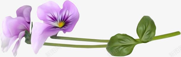 唯美花朵png免抠素材_88icon https://88icon.com 叶子 手绘 枝干 简图 紫色的 绿色的 花朵 花瓣 装饰