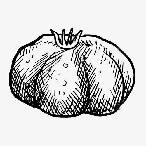 铅笔画果蔬蔬菜速写黑白png免抠素材_88icon https://88icon.com 果蔬 线条 蔬菜 速写 铅笔画 黑白铅笔画