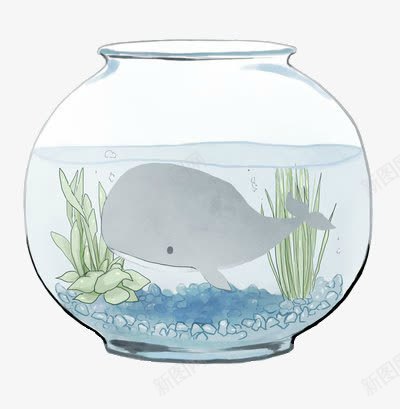 手绘鱼缸png免抠素材_88icon https://88icon.com 创意鱼缸 卡通鱼缸 鱼缸 鲸鱼