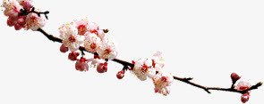 桃花新年淘宝png免抠素材_88icon https://88icon.com 新年 桃花 素材