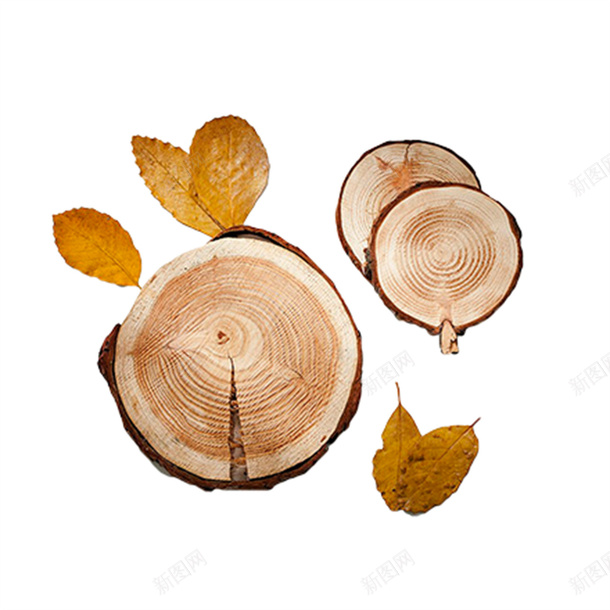 卡通树桩装饰图案png免抠素材_88icon https://88icon.com 卡通树桩 枯树干 树 树根 树轮 棕色 蘑菇 装饰图案