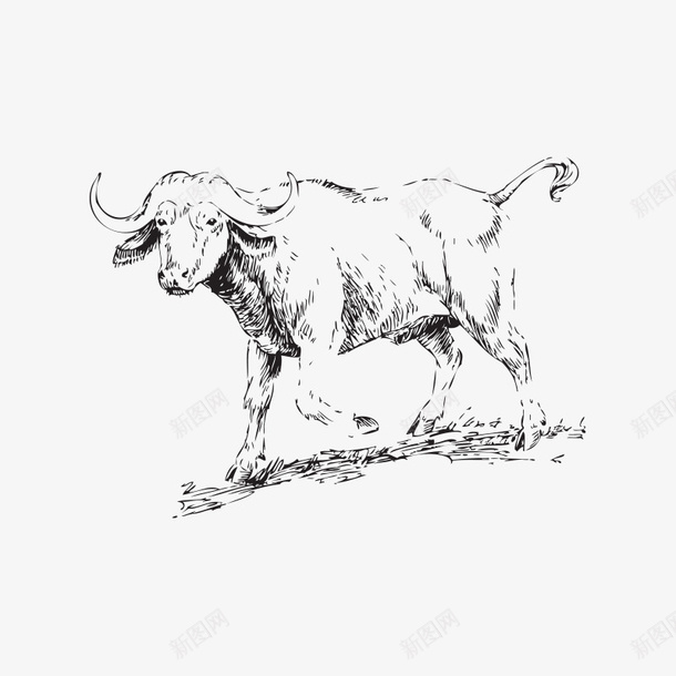素描动物png免抠素材_88icon https://88icon.com 动物 手绘动物 牛 素描 素描动物