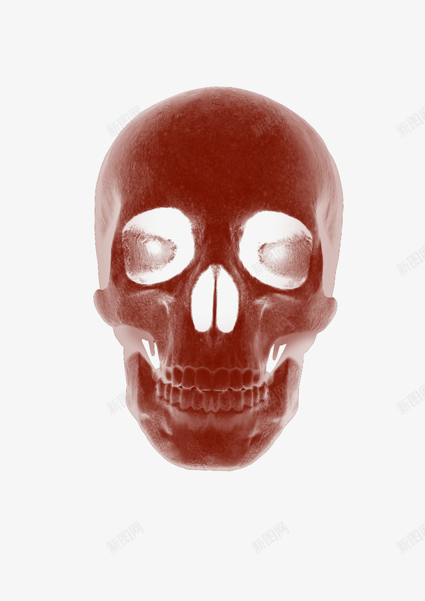 骷髅头简图psd免抠素材_88icon https://88icon.com 人骨 嘴巴 实物 尸骨 牙齿 眼睛 骨头 骷髅头