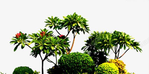 风景区摄影绿色的植物园林png免抠素材_88icon https://88icon.com 园林 摄影 植物 绿色 风景区