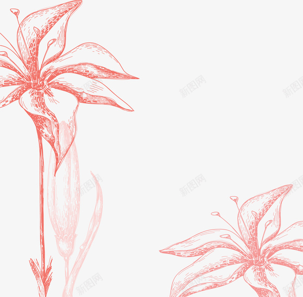 手绘粉色素描花朵图案png免抠素材_88icon https://88icon.com 图案 手绘 粉色 素描 花朵