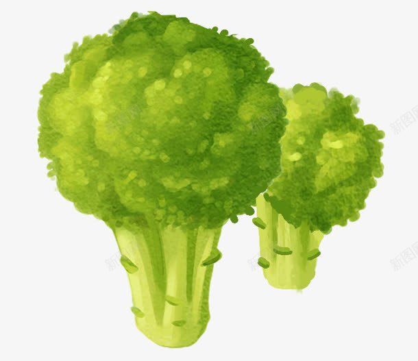 手绘花菜png免抠素材_88icon https://88icon.com 形状 立体 绿色蔬菜 花菜 蔬菜