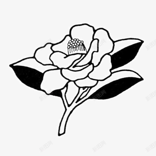 黑白素描花朵png免抠素材_88icon https://88icon.com 玫瑰纹身 玫瑰花 简约 素描 黑白