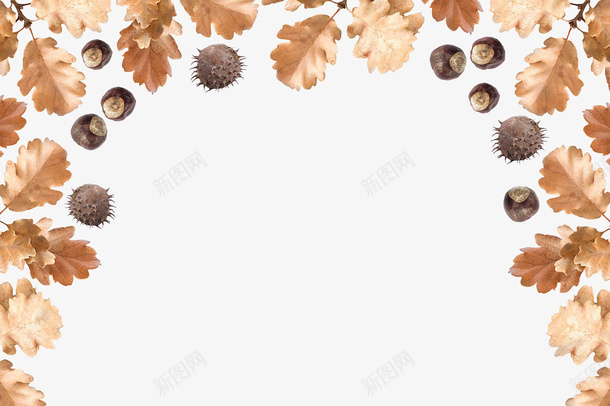 秋天叶子果实边框psd免抠素材_88icon https://88icon.com 叶子 果实 秋天 边框