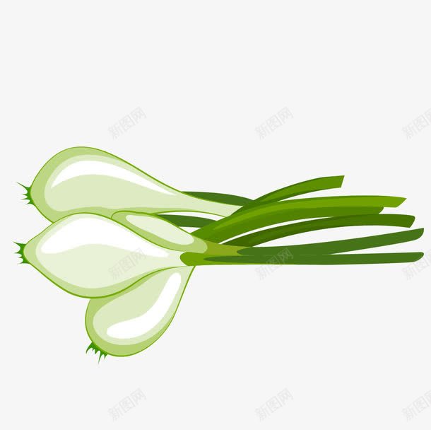手绘葱png免抠素材_88icon https://88icon.com 手绘矢量葱 洋葱 矢量葱头 葱头 配料