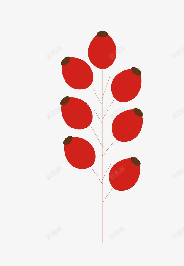 枝干上的红果果简笔画png免抠素材_88icon https://88icon.com 卡通 手绘图 果子 果实 桔梗 简笔画 线条