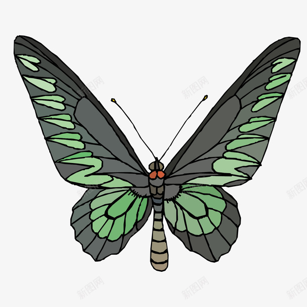 花蝴蝶矢量图eps免抠素材_88icon https://88icon.com 免费 矢量图下载 花蝴蝶 蝴蝶 矢量图