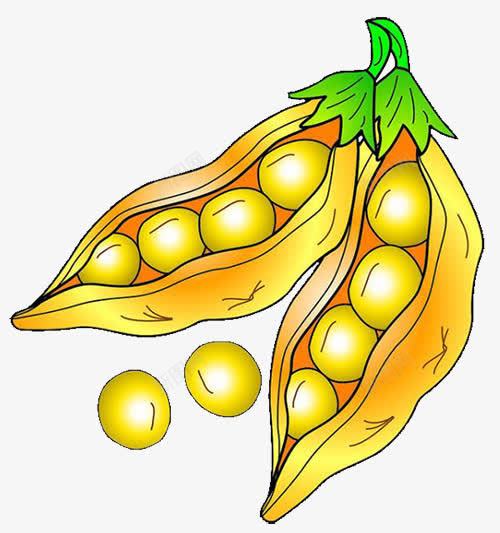黄豆豌豆png免抠素材_88icon https://88icon.com 卡通 手绘 手绘黄豆 豌豆 黄豆