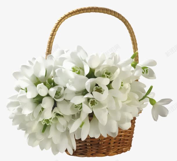 白色花花篮png免抠素材_88icon https://88icon.com 白色花 竹筐 竹篮子 花朵 花篮