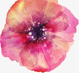 手绘花卉生日画报png免抠素材_88icon https://88icon.com 生日 画报 花卉