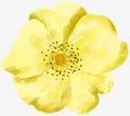 合成创意水彩黄色的植物花卉png免抠素材_88icon https://88icon.com 创意 合成 植物 水彩 花卉 黄色