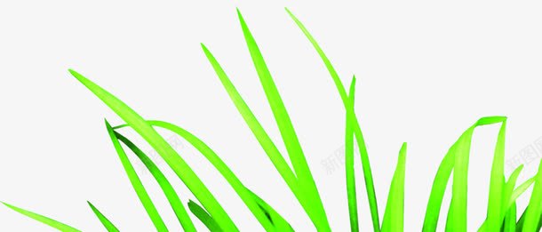 清新唯美草地清晰png免抠素材_88icon https://88icon.com 清新 清晰 草地
