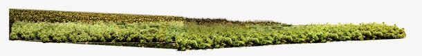 绿化带植物png免抠素材_88icon https://88icon.com 园林 植物 绿化 绿化带