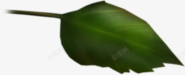 绿色锯齿树叶png免抠素材_88icon https://88icon.com 树叶 绿色 锯齿