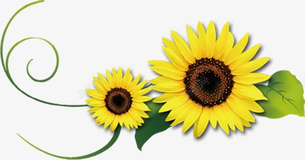 手绘卡通向日葵花朵装饰png免抠素材_88icon https://88icon.com 卡通 向日葵 花朵 装饰