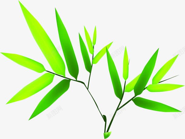 叶子绿叶竹叶装饰png免抠素材_88icon https://88icon.com 叶子 竹叶 绿叶 装饰
