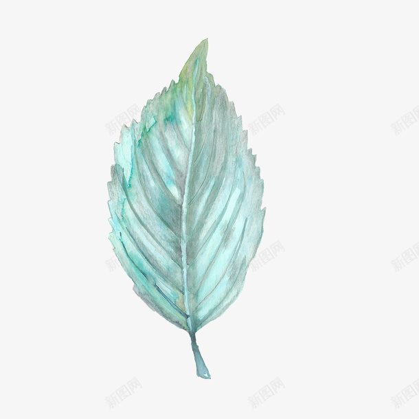 卡通绿叶装饰手绘文艺小清新png免抠素材_88icon https://88icon.com 叶子 广告设计 手绘清新文艺绿叶 海报设计 清新装饰 绿叶 绿叶装饰插画