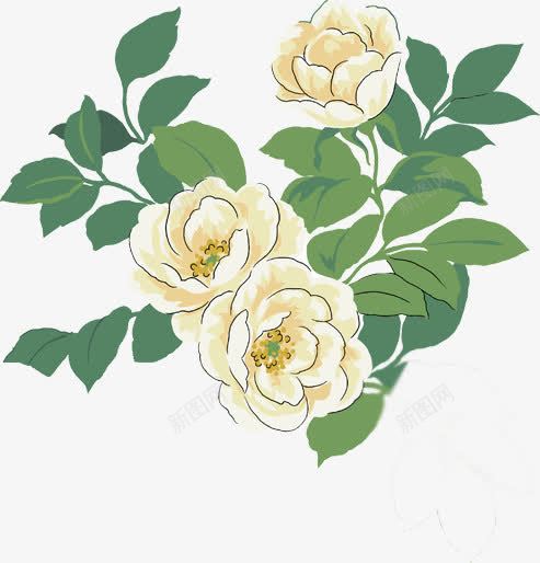 手绘白花时尚插画png免抠素材_88icon https://88icon.com 插画 时尚 白花