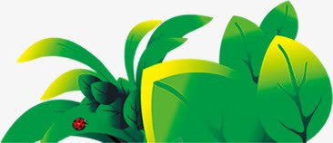 七星瓢虫和绿色植物png免抠素材_88icon https://88icon.com 七星 瓢虫 绿色植物