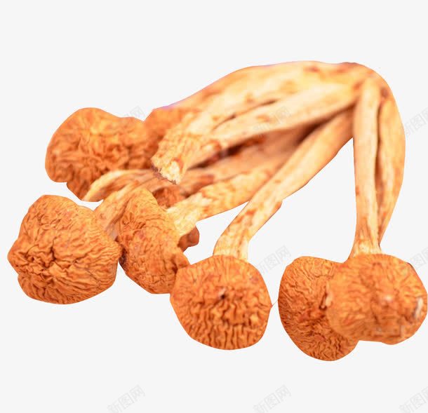 小个的珍珠菇png免抠素材_88icon https://88icon.com 健康 干货 植物 滑子菇 黄褐色