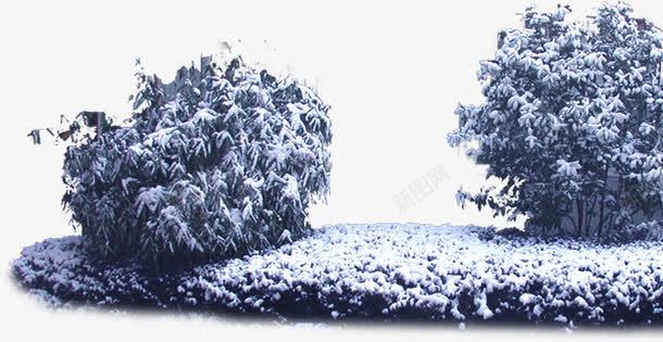 冬日唯美白色雪景png免抠素材_88icon https://88icon.com 冬日 白色 雪景