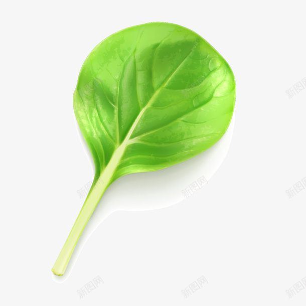 叶子芹菜png免抠素材_88icon https://88icon.com 叶子 大叶子 手绘画 芹菜 芹菜叶子 菜菜 葱子 表情