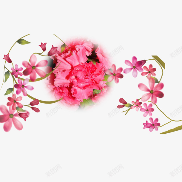 康乃馨psd免抠素材_88icon https://88icon.com 图片 康乃馨 粉色 花瓣
