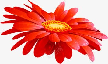 红色卡通精美花朵png免抠素材_88icon https://88icon.com 卡通 精美 红色 花朵 设计
