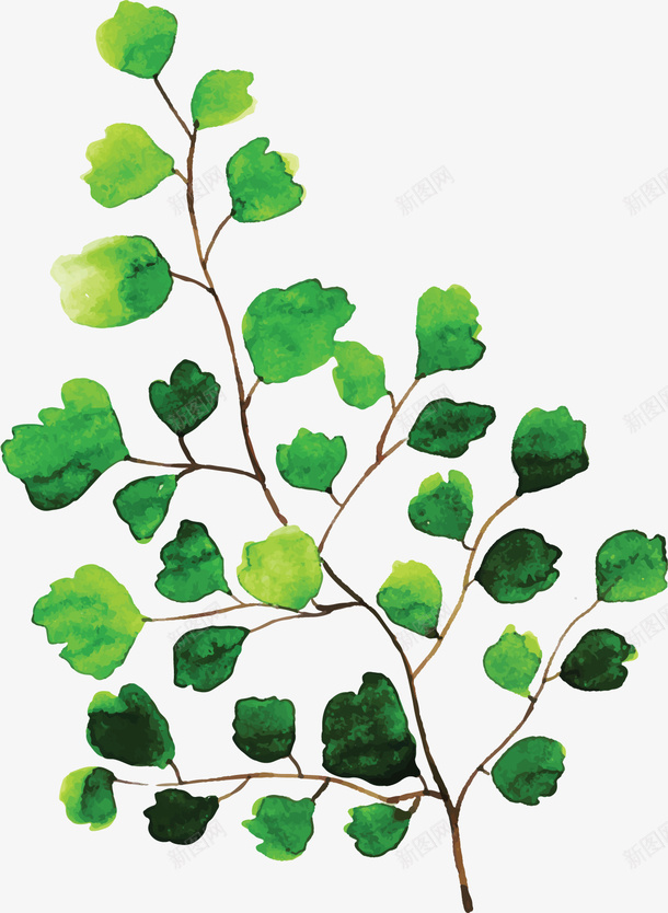 美丽手绘夏天树叶矢量图ai免抠素材_88icon https://88icon.com 夏天 夏天树叶 小清新 树叶 树叶花纹 矢量png 矢量图