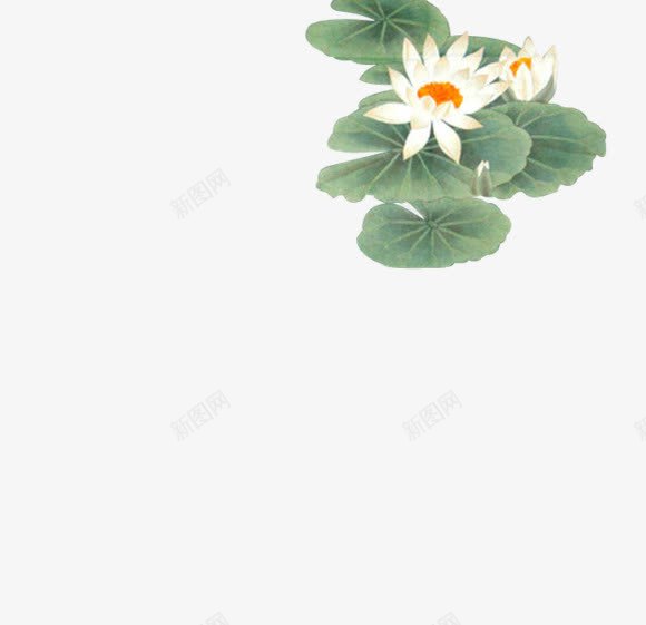 绿色手绘叶子白花png免抠素材_88icon https://88icon.com 叶子 手绘 白花 绿色