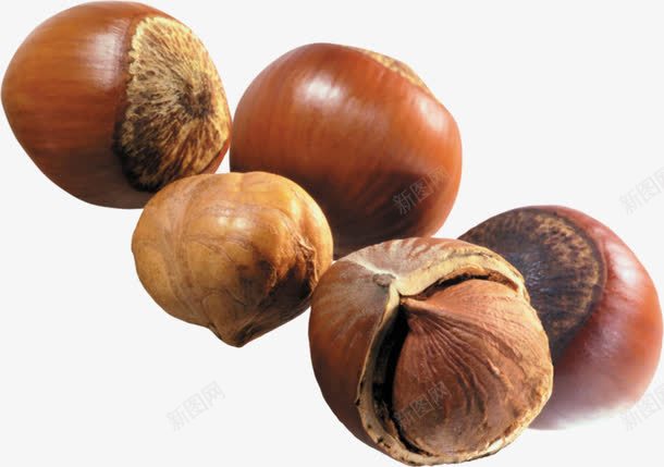 美味的板栗png免抠素材_88icon https://88icon.com 板栗 果壳 栗子 食物