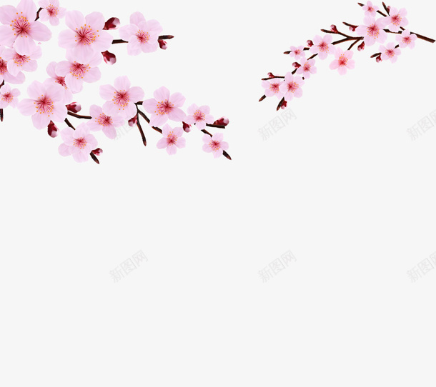 春天枝头桃花psd免抠素材_88icon https://88icon.com 开花 春天 枝头 桃花
