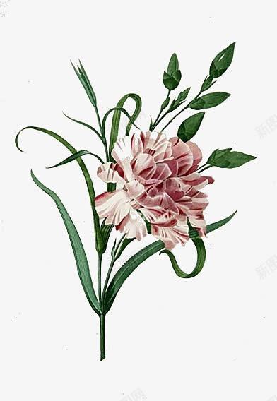 花朵唯美背景 精美花束png免抠素材_88icon https://88icon.com 唯美花卉图片 植物花卉 植物花卉素材 精美 背景元素 花卉图案 花束 鲜花海报背景 鲜花背景 鲜花背景素材