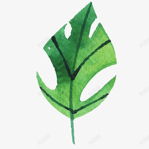 绿色棕榈树叶矢量图ai免抠素材_88icon https://88icon.com 叶子 手绘 棕榈树 植物 水彩 装饰植物 矢量图