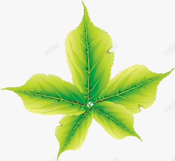 黄绿色纹理树叶清新装饰png免抠素材_88icon https://88icon.com 树叶 清新 纹理 装饰 黄绿色