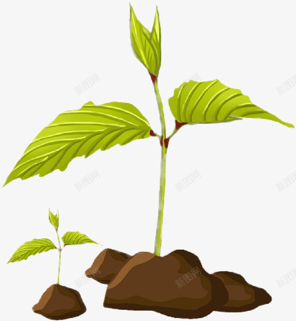 春天嫩苗生长png免抠素材_88icon https://88icon.com 嫩芽 春天 树苗 植物
