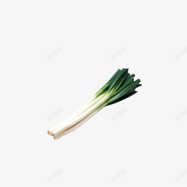 一捆拌料葱png免抠素材_88icon https://88icon.com 产品实物 佐料 做饭 绿色 蔬菜
