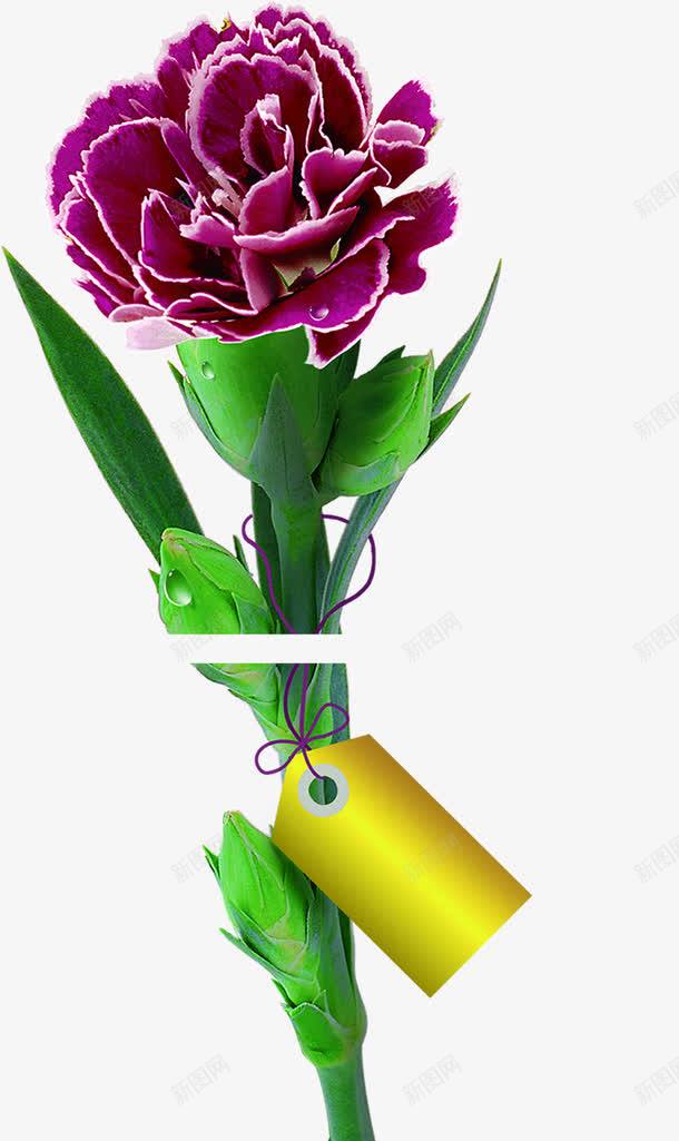 手绘教师节紫色花朵png免抠素材_88icon https://88icon.com 教师节 紫色 花朵