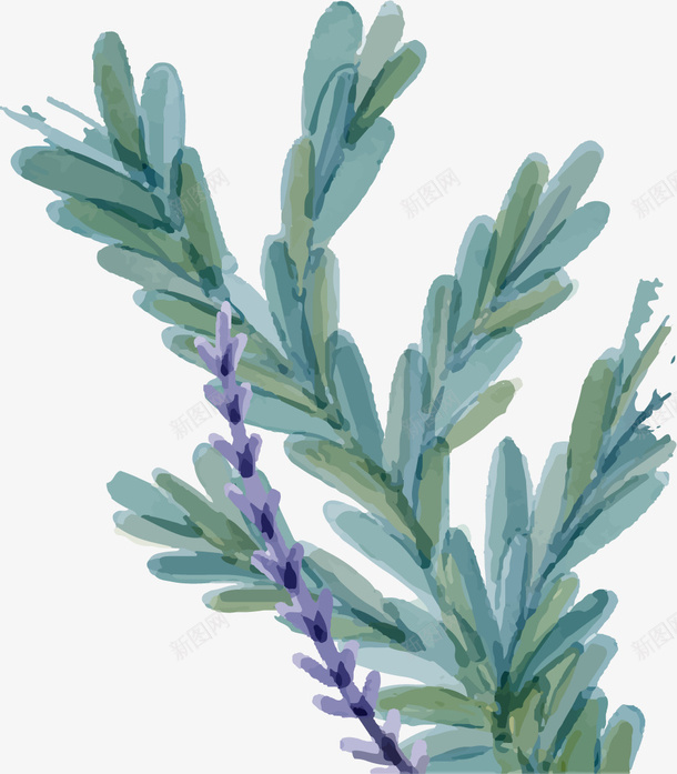 草本绿叶植物矢量图ai免抠素材_88icon https://88icon.com 卡通薰衣草 扁平风格 植物 矢量薰衣草 紫色薰衣草 绿叶 草本 矢量图