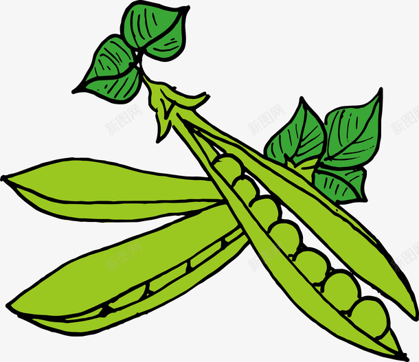 绿色豌豆矢量图ai免抠素材_88icon https://88icon.com 创意 精美 绿色 绿色豌豆 豌豆 豌豆设计 矢量图
