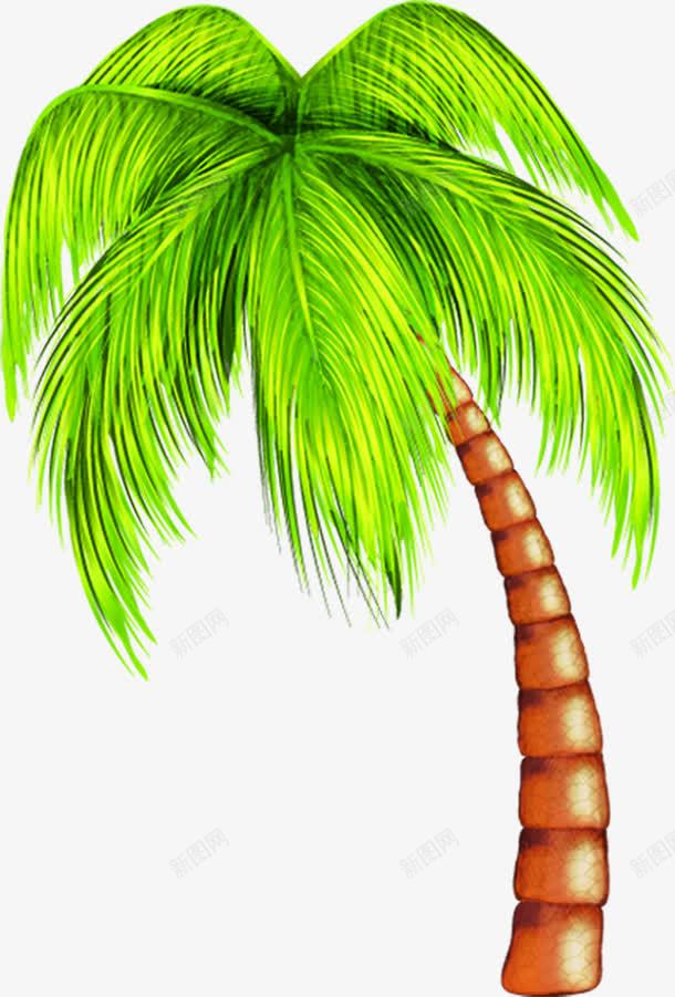 夏日卡通绿色植物棕叶png免抠素材_88icon https://88icon.com 卡通 夏日 绿色植物
