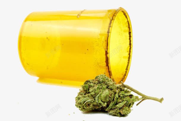 大麻和容器png免抠素材_88icon https://88icon.com 大麻 大麻叶 大麻干 实物 容器 植物 绿色 药品 药草 麻醉品
