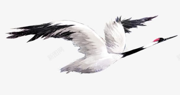 手绘的丹顶鹤png免抠素材_88icon https://88icon.com 丹顶鹤 手绘 飞禽